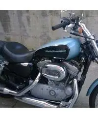 H-d 883 custom - 2