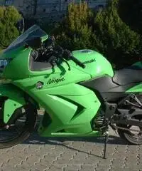 Ninja 250 - 2