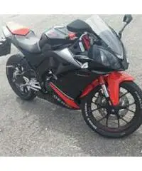 Derbi gpr 125 2010 - 3