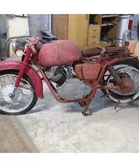 Moto Guzzi Lodola