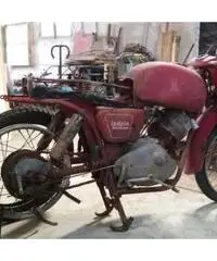 Moto Guzzi Lodola - 2