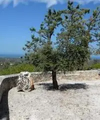 Trullo Aurora - Ostuni (BR) - 5