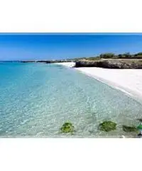 Vacanza in Salento dal 13 al 21 agosto per single over 45 - 2