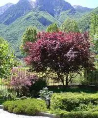 BILOCALE IN VALSASSINA (LECCO)TRA MONTAGNE E LAGO