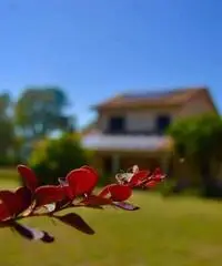 Giugno e settembre in villa vicina al mare - 2