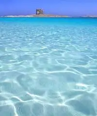 Offerta viaggio sardegna last minute - 3