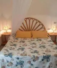 ELBA LAST MINUTE 11/18 Giugno, appartamento 4px 200€ - 5