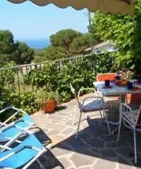 ELBA LAST MINUTE 11/18 Giugno, appartamento 4px 200€ - 6