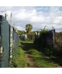 Vendita Agricolo in Via Cuma Licola, 00 - 2