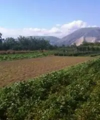 Vendita Agricolo in Via Boscofangone - 2