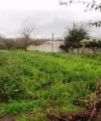 Vendita Agricolo in Strada Provinciale San Vito - Scisciano