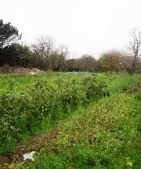 Vendita Agricolo in Strada Provinciale San Vito - Scisciano - 4