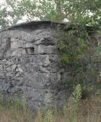 Vendita Agricolo in Via Circonvallazione - 7