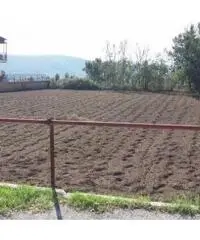 Vendita Agricolo in Via Marmolito - 7