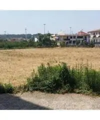 Vendita Agricolo in Via Masullo - 2