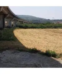 Vendita Agricolo in Via Masullo - 3