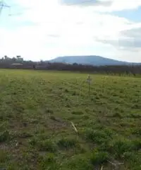 Vendita Agricolo in Via Cesapepere - 2