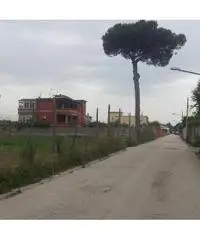 RifITI 019-20355 - Terreno Agricolo in Vendita a Giugliano in Campania - Varcaturo di 2000 mq - 2