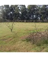 TERRENO AGRICOLO IN ZONA ABITATA