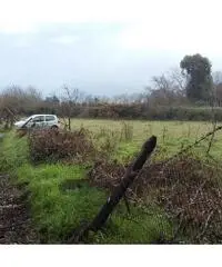 TERRENO AGRICOLO IN ZONA ABITATA - 3