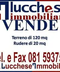 Professionale terreno non edificabile mq 120 Euro 35.000 - 5