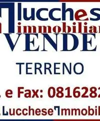 Professionale terreno edificabile mq 10000 Euro 200.000 - 2