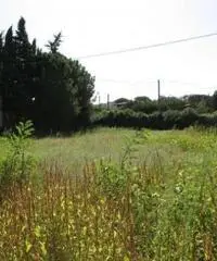 Monterusciello: Vendita Agricolo in Via Giuseppe Parini