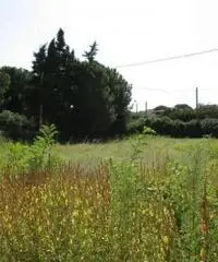 Monterusciello: Vendita Agricolo in Via Giuseppe Parini - 2