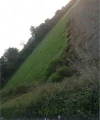 Lido Di Licola: Vendita Agricolo in Via Santa Maria Goretti - 2