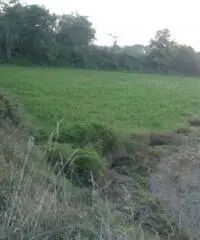 Lido Di Licola: Vendita Agricolo in Via Santa Maria Goretti - 3