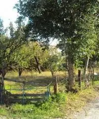 Vendita Agricolo in Via Marra