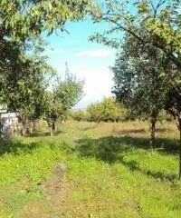 Vendita Agricolo in Via Marra - 3