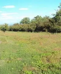 Vendita Agricolo in Via Marra - 4