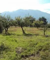 Vendita Agricolo in Via Marra - 5