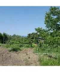 Vendita Agricolo in Via Sibilla, 00 - 3