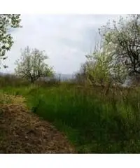 Vendita Agricolo in strada provinciale Scalandrone