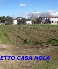 Vendita Agricolo in Via Camillo Cucca - 4