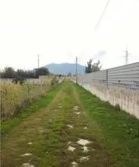 Vendita Agricolo in strada statale 7 bis