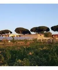 Terreno Agricolo in Vendita a Giugliano in Campania di 1 mq - 10