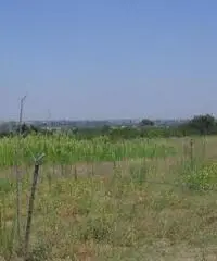 Vendita Agricolo in Via Campana - 2