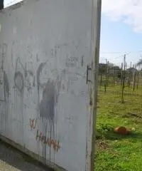 Vendita Agricolo in ponte riccio