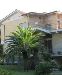 Lido Dei Pini: Vendita Villa in Via delle Azalee