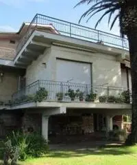 Lido Dei Pini: Vendita Villa in Via delle Azalee - 3