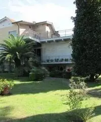 Lido Dei Pini: Vendita Villa in Via delle Azalee - 10