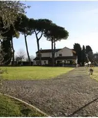 Rif: 365 - Villa in Vendita a Velletri - 7