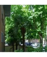 Rif: Roma - GIANICOLO - VIA NICOLA FABRIZI a due passi da TRASTEVERE immerso nel verde, in palazzina - 9