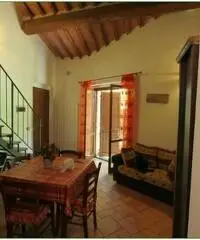 Appartamento in vendita a Radicondoli 70 mq  Rif: 451883 - 5