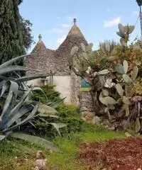 Vendita Villa in Strada Comunale Pentimelle - 7