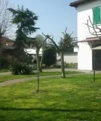 Vendita casa indipendente mq. 187 - Zona San Pietro Capofiume - 3