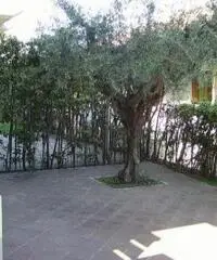 Rif: 160 - Villa in Vendita a San Gregorio di Catania - 2